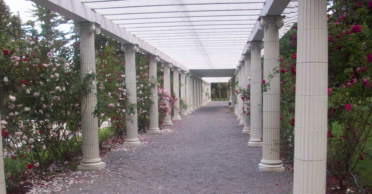 walkway with pillars and flower bushes on each side