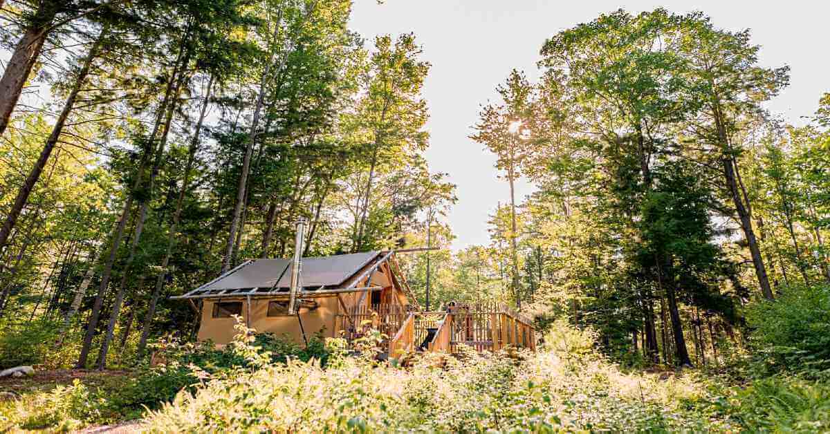 glamping site in the middle of a forest on a sunny day