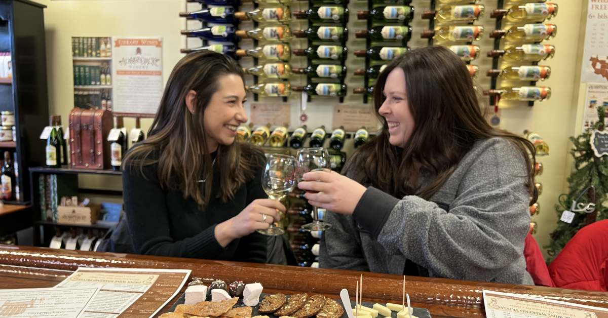 two women clinking wine glasses