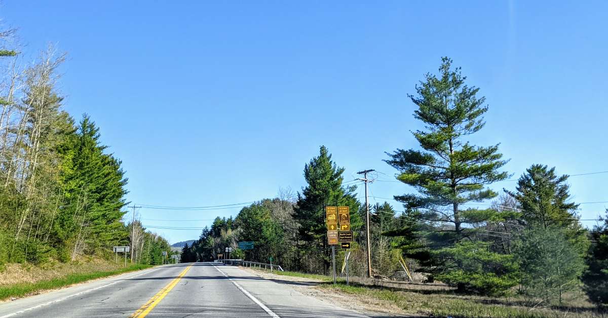 road with trees on the side