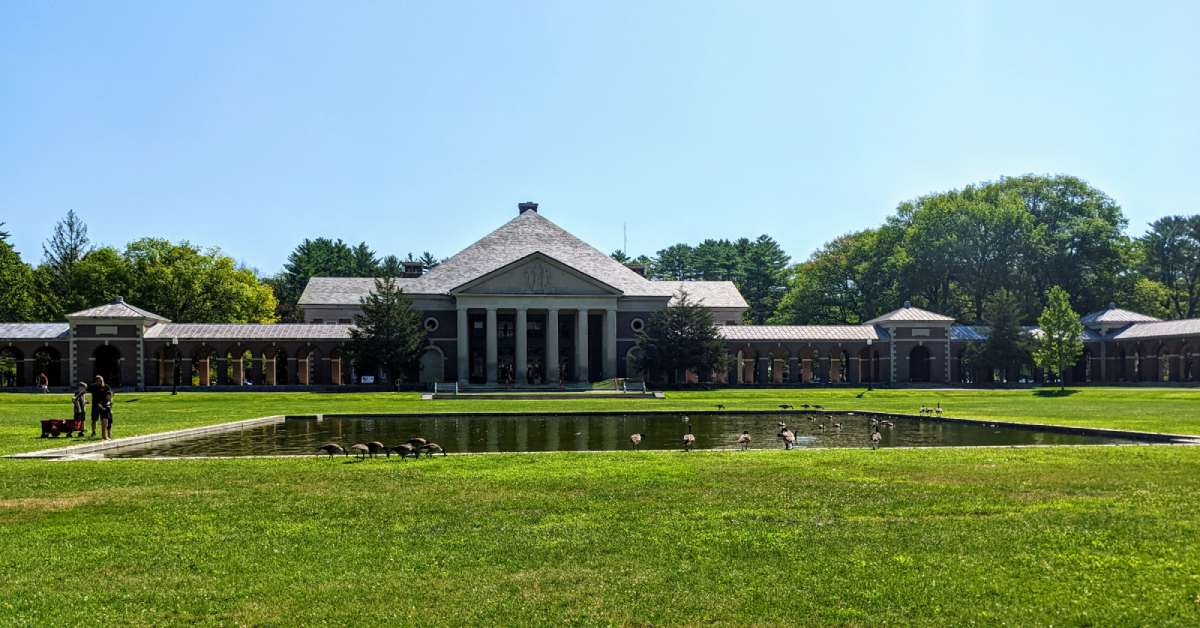 building with a pond in front of it where geese are roaming on a sunny day