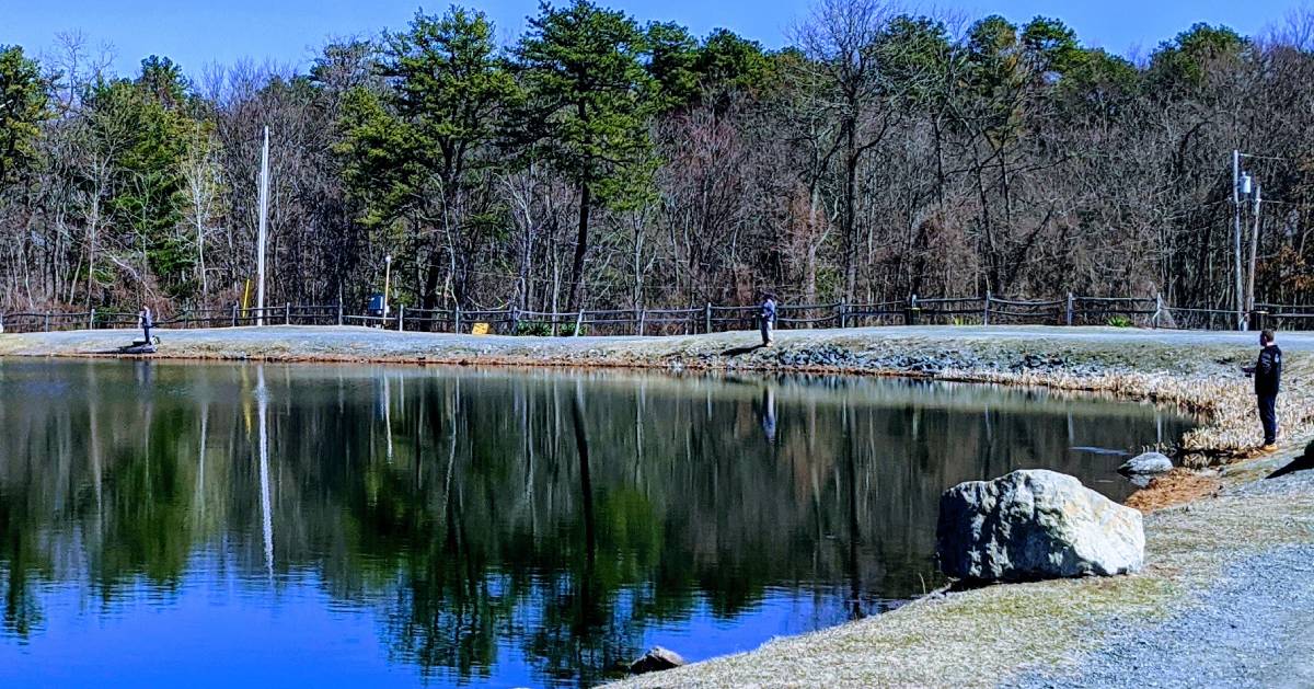 people spaced out fishing by a lake, trees in background