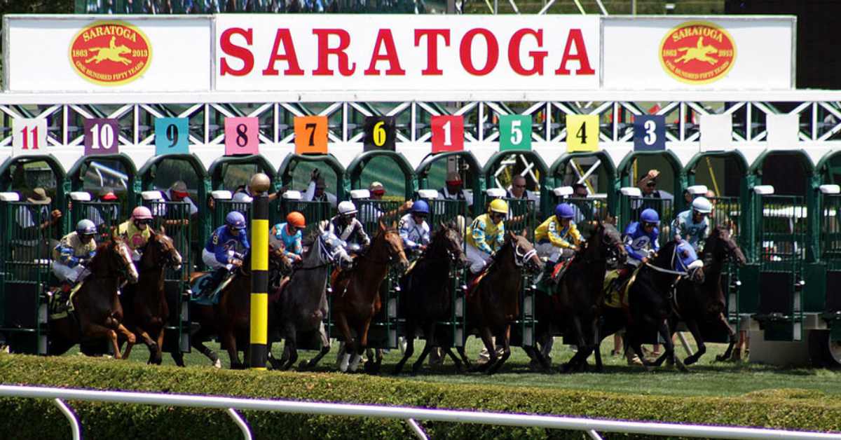 horses in the starting gate at Saratoga