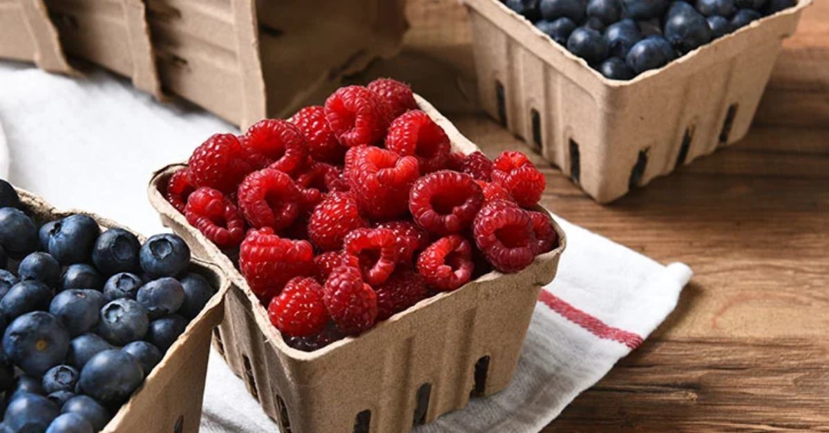 raspberries and blueberries in containers