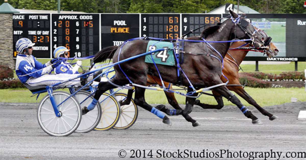 harness racing on a racetrack