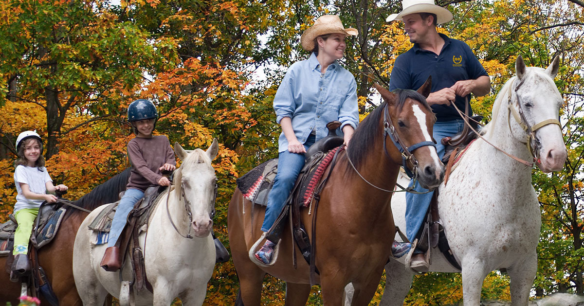 four horses with people on them