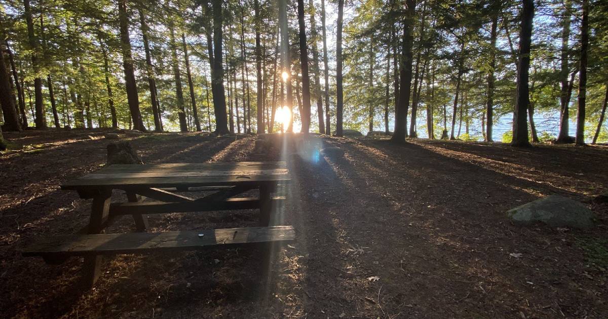 campsite with picnic table