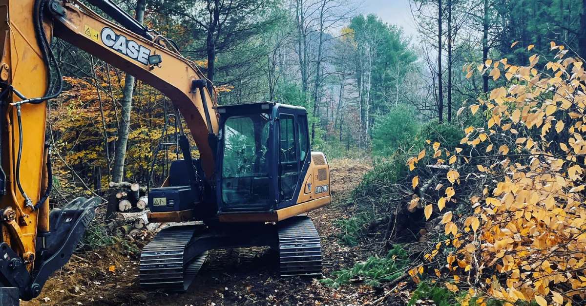 excavator in the woods