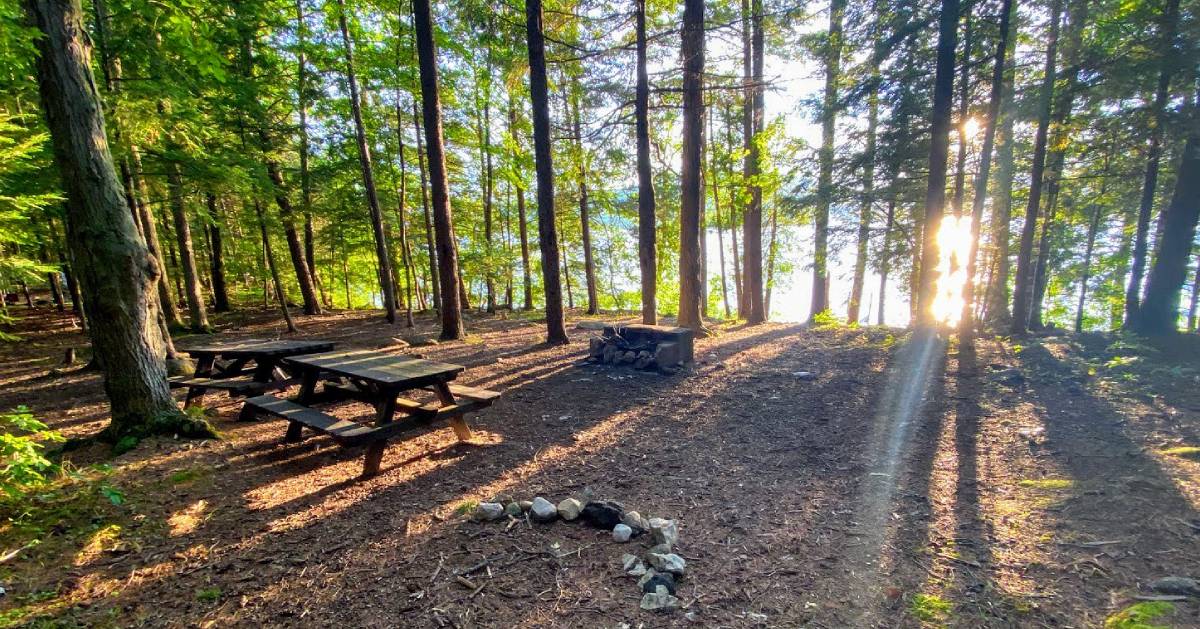 island with trees, picnic tables, fire pit