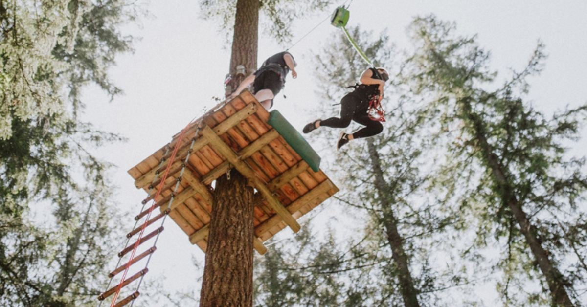 person leaping from a treetop platform