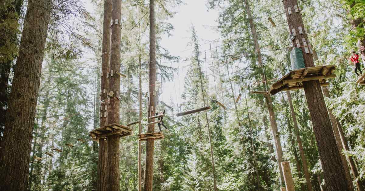 log bridges and treetop obstacles