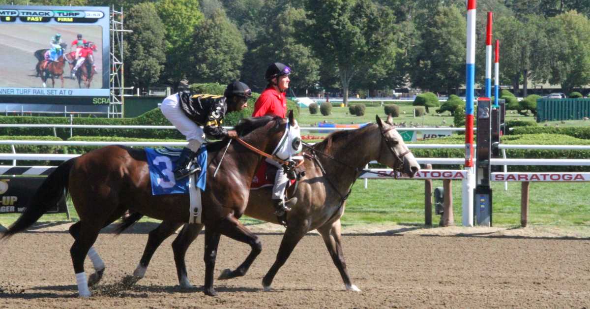 race horses walking on a dirt track