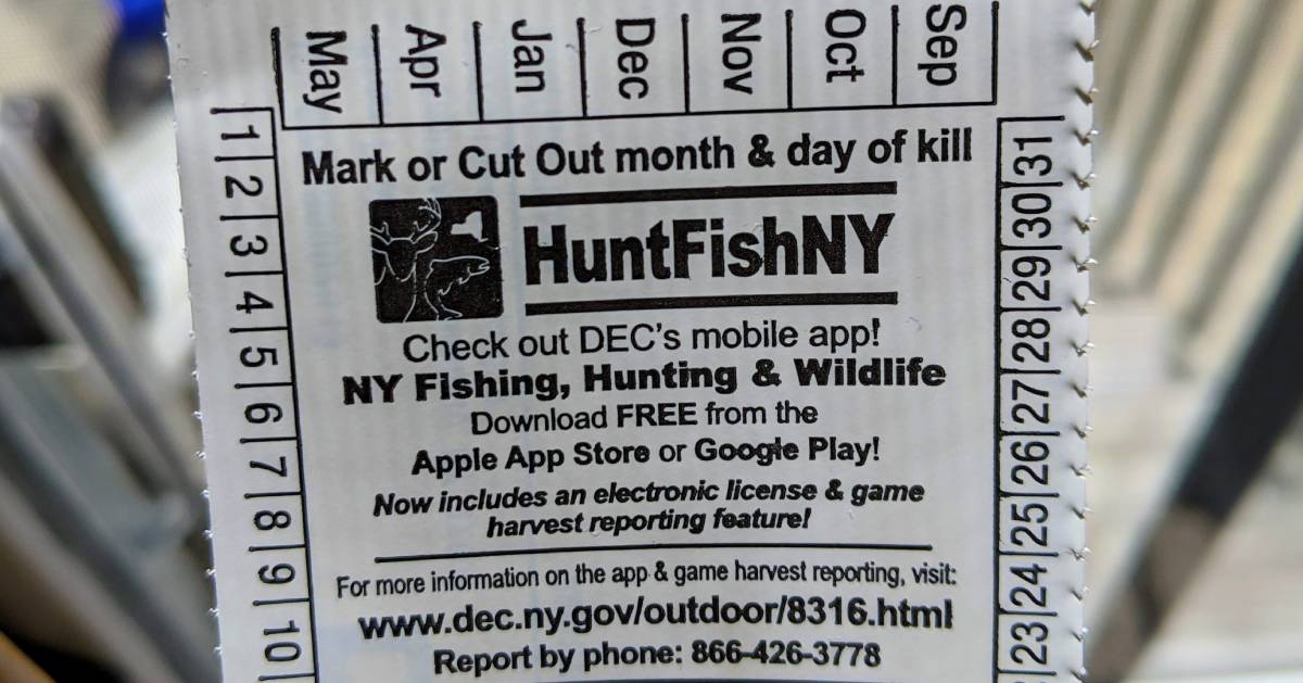 Fishing License Info for New York State