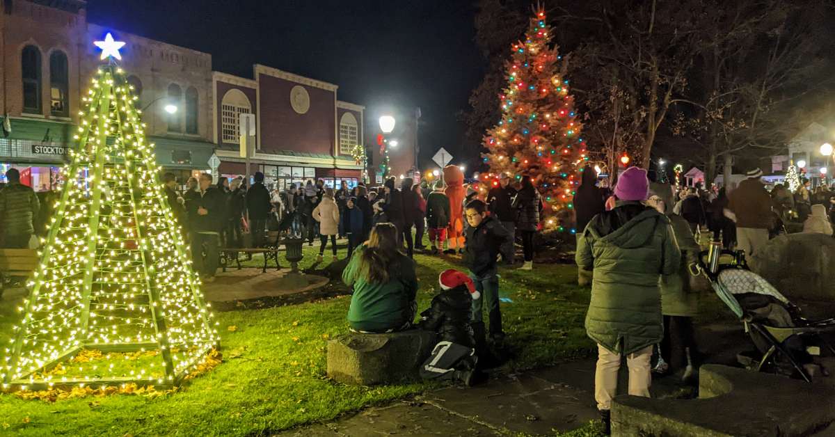fake and real christmas trees in park and crowd of people