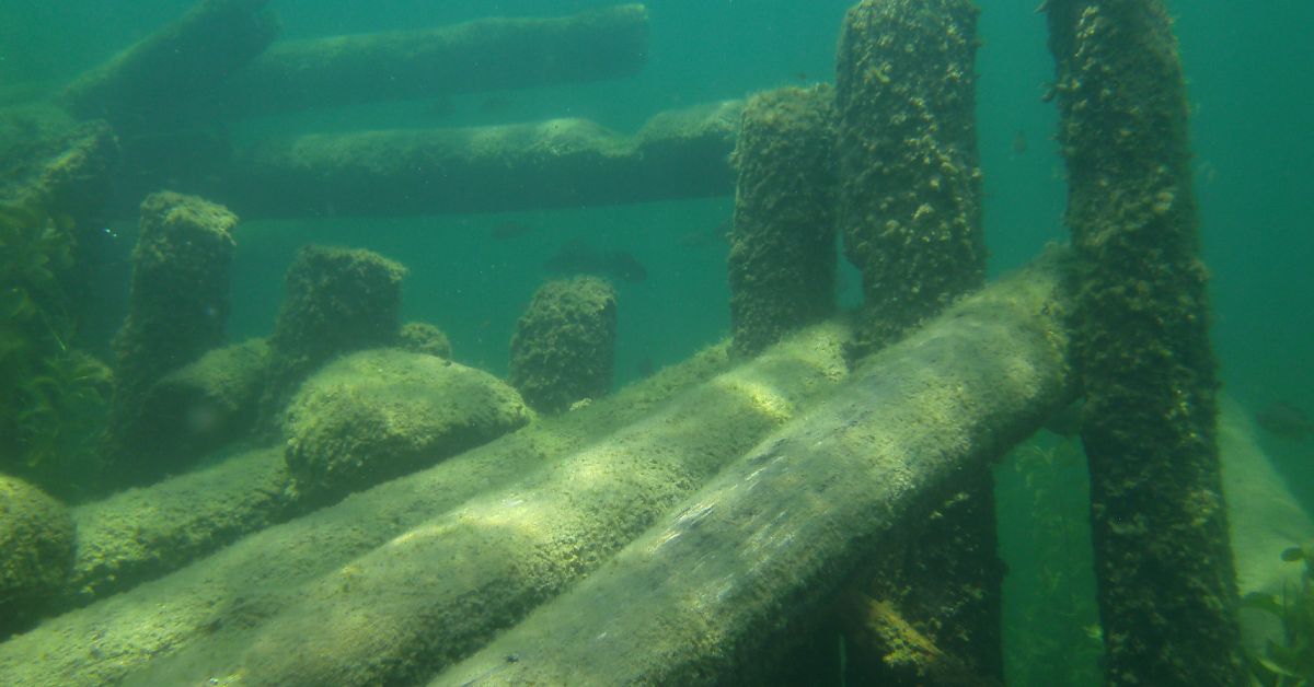 an underwater photo of an artificial reef made from pieces of wood