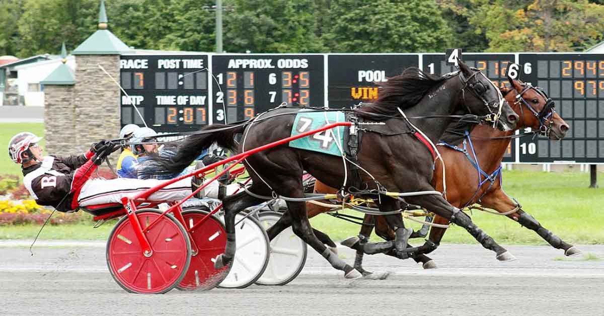 harness track horse racing