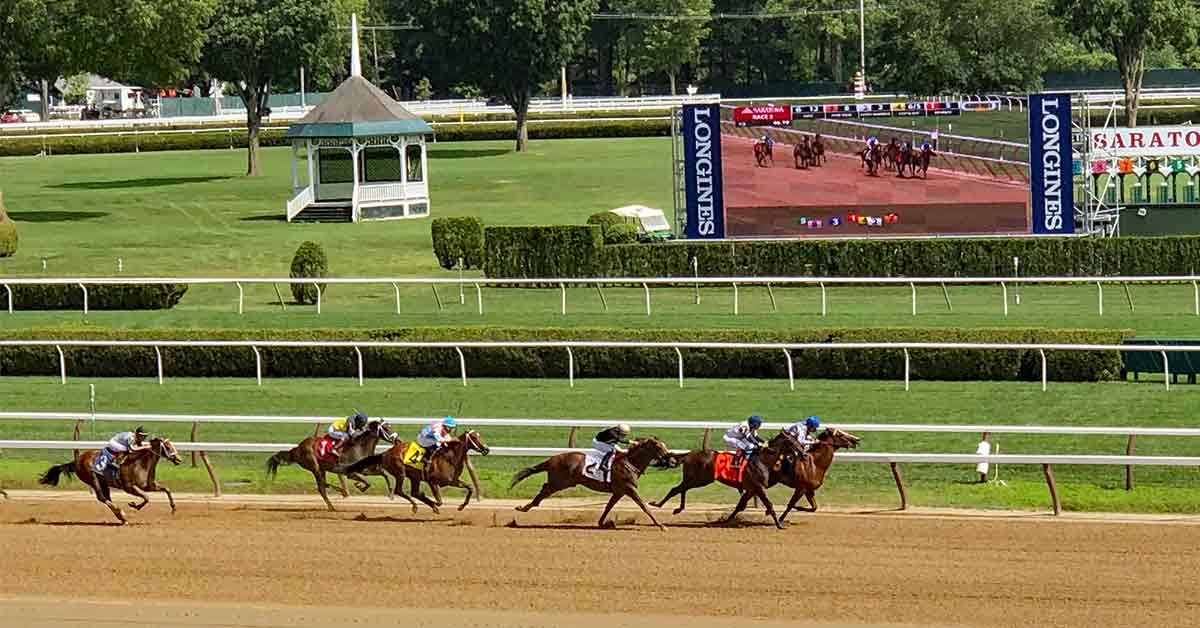 view of thoroughbred horse race