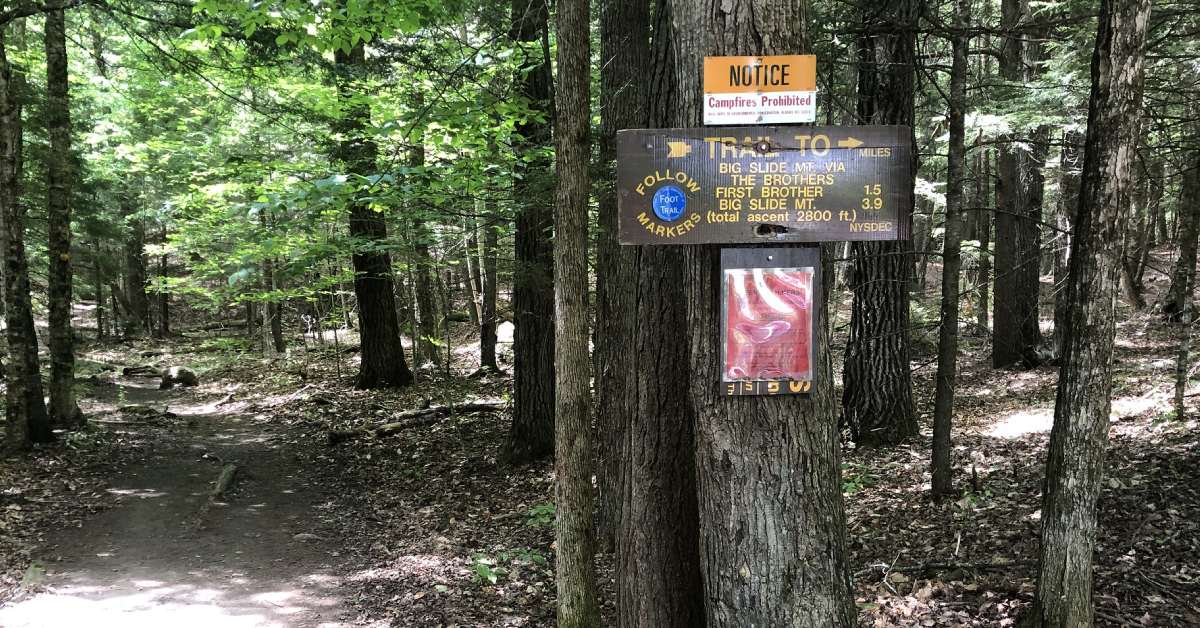 trail signs on tree, one for big slide mountain