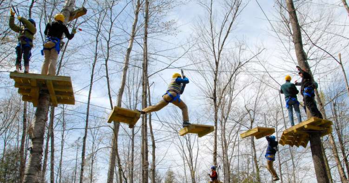 people doing a high ropes course