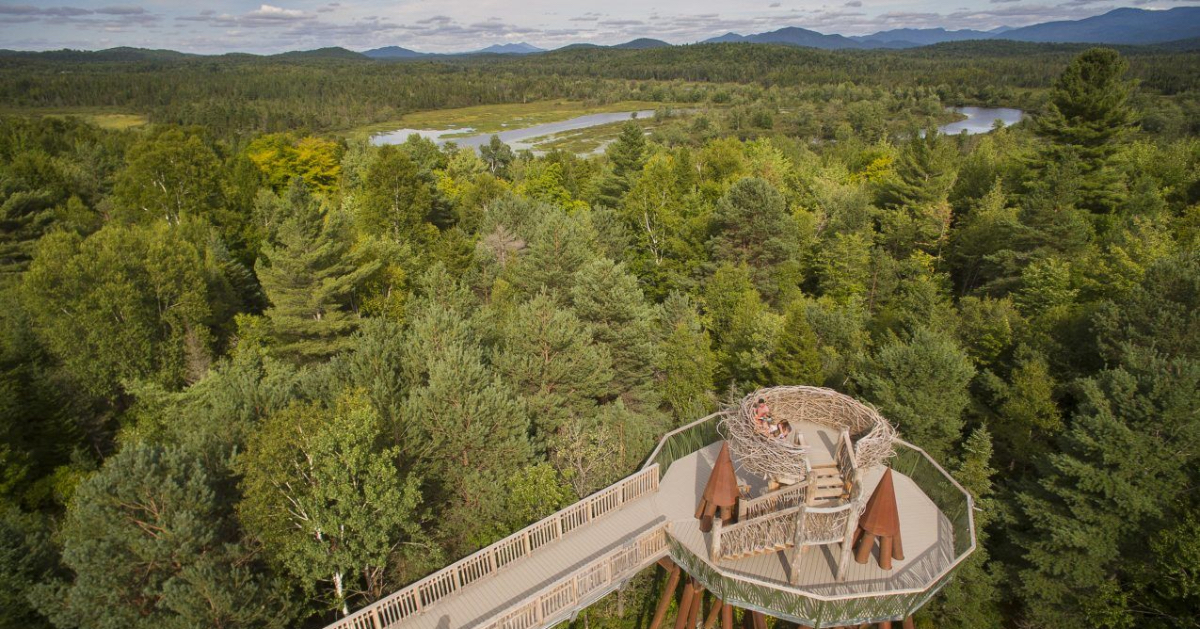 aerial view of the wild center