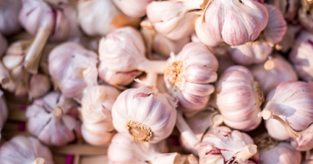 cloves of garlic 