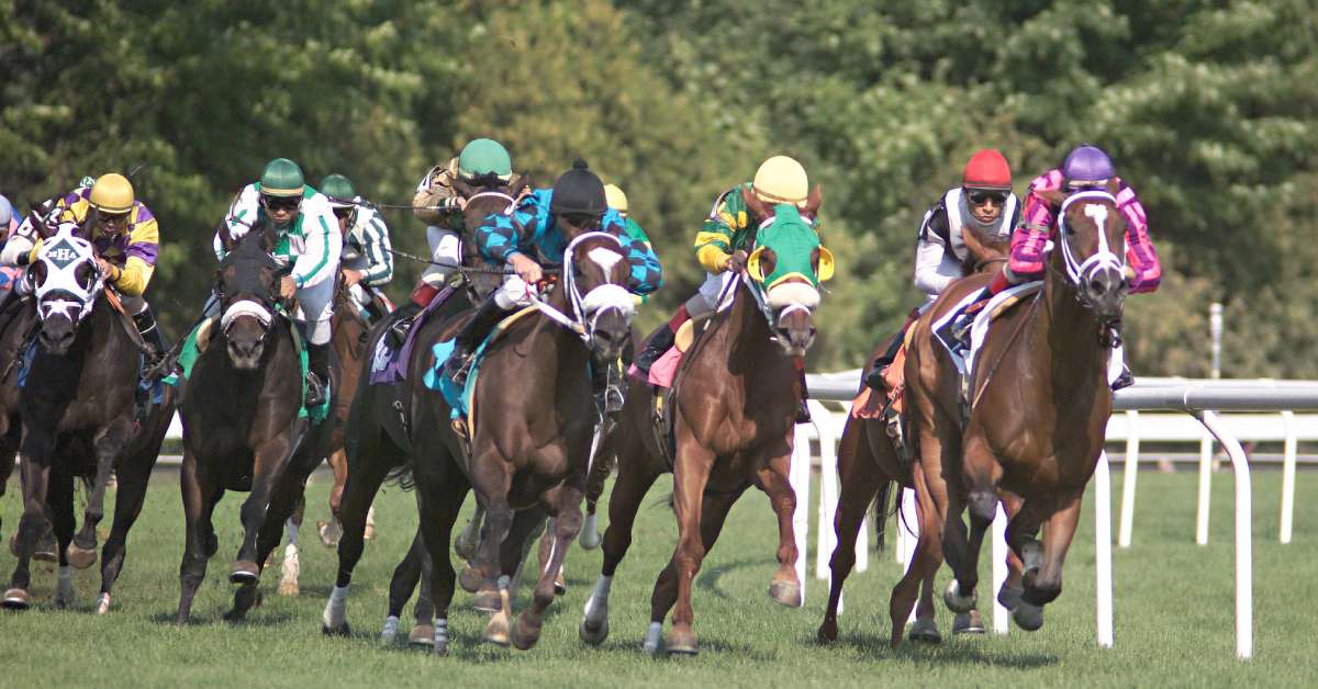 horses racing on turf