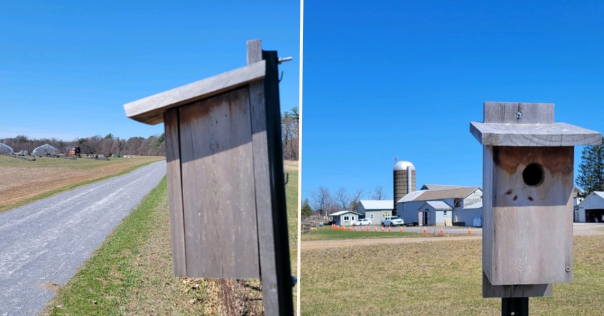 left photo of side view of birdhouse on preserve; right photo of view of bird house with silo in background