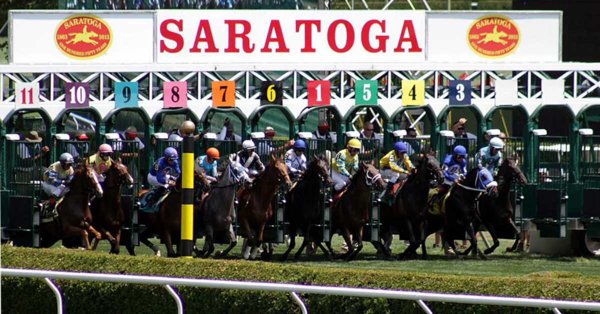 horses starting their race in Saratoga