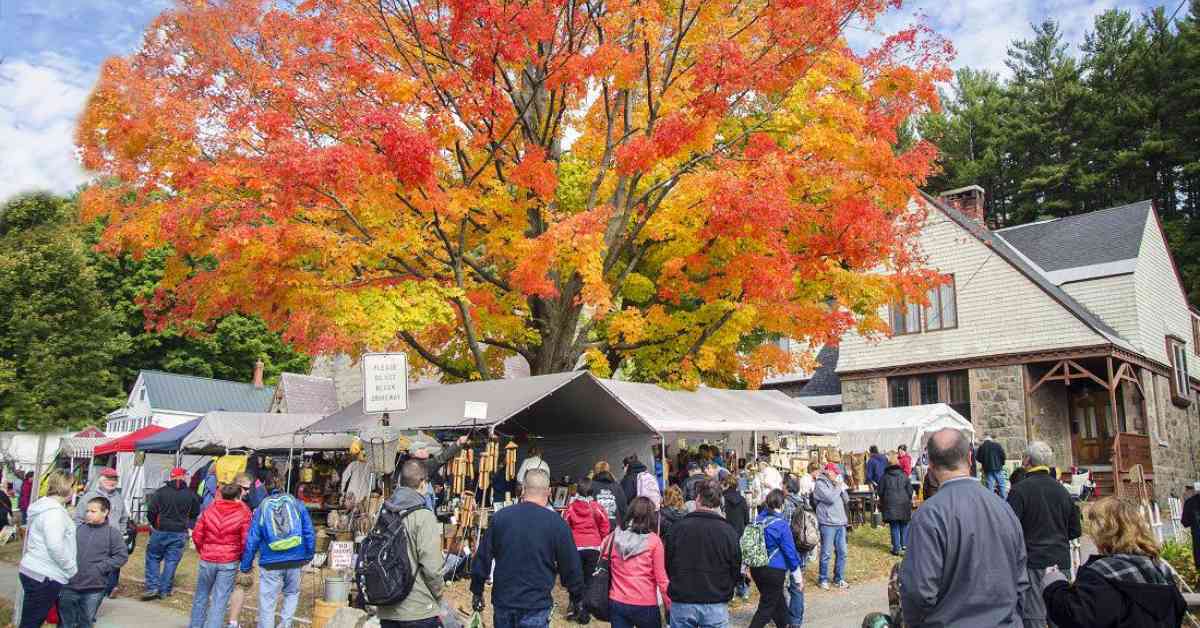 people walking toward a vendor tent area with a large tree with orange leaves above it