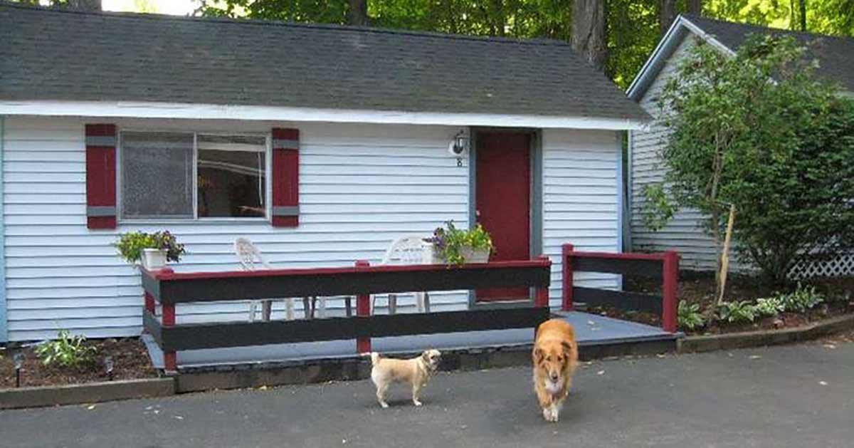 Lake PetFriendly Cabins & Cottages