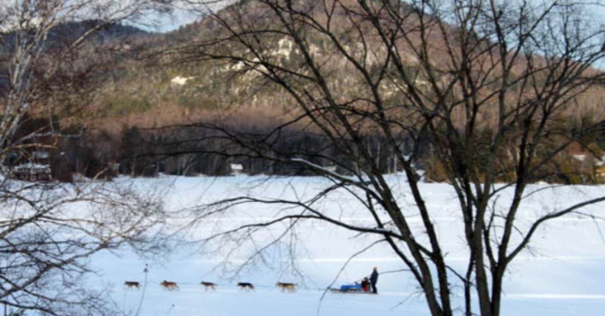 dog sled with mountains in background