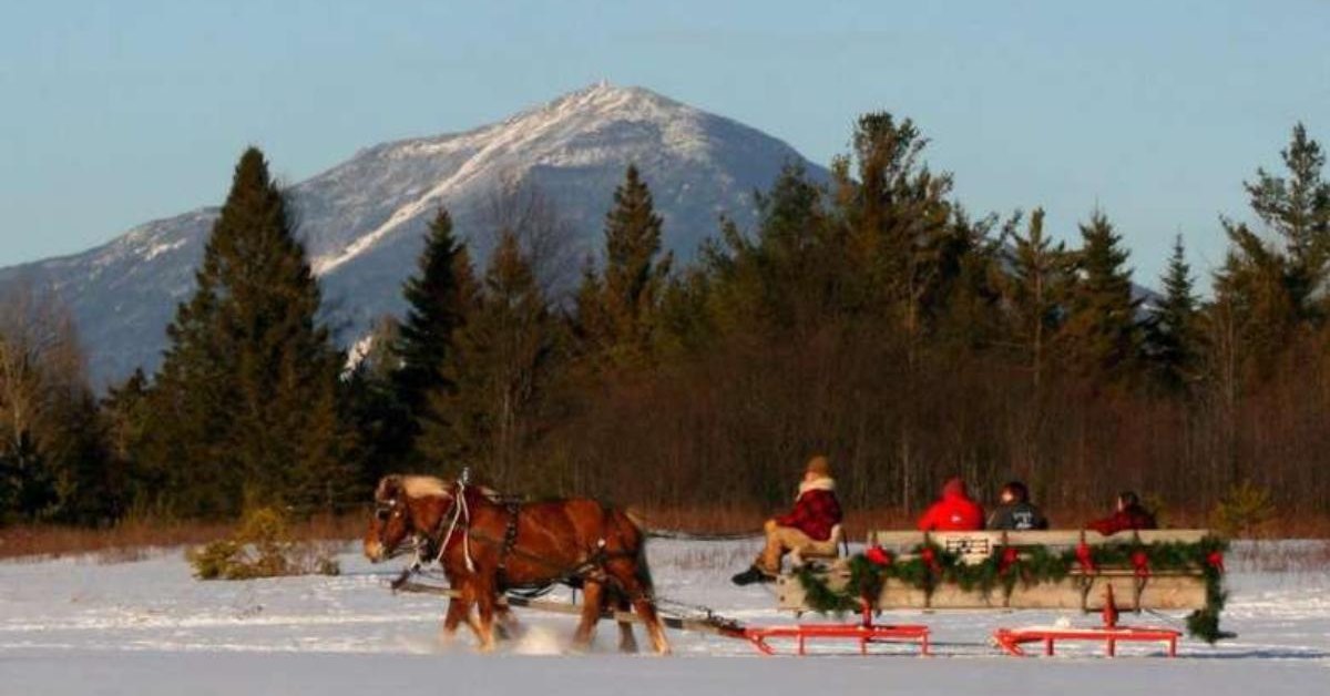 horse-drawn sleigh in front of snowy mountains