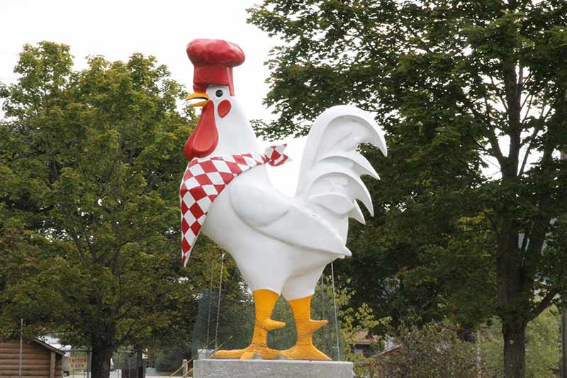 Large rooster statue outside of a restaurant in Chestertown NY