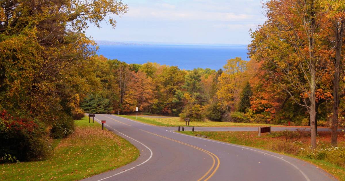 road with fall foliage, lake in background