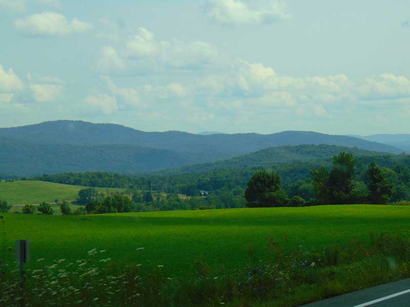 Lush green rolling hills in Jackson NY