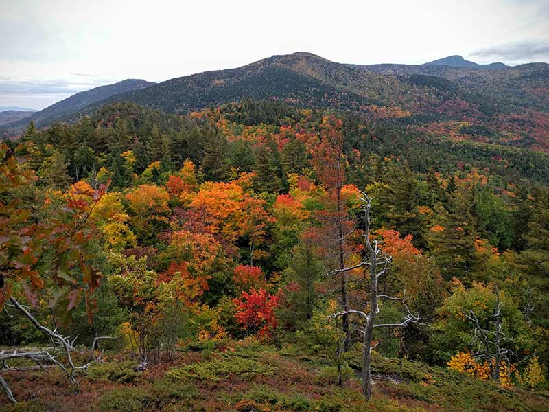 Fall Foliage at Baxter Mountain in Keene NY