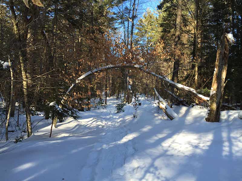 lapland lake nordic vacation center