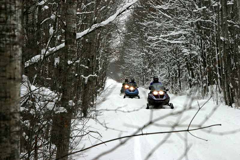 Snowmobilers riding a trail through a forest