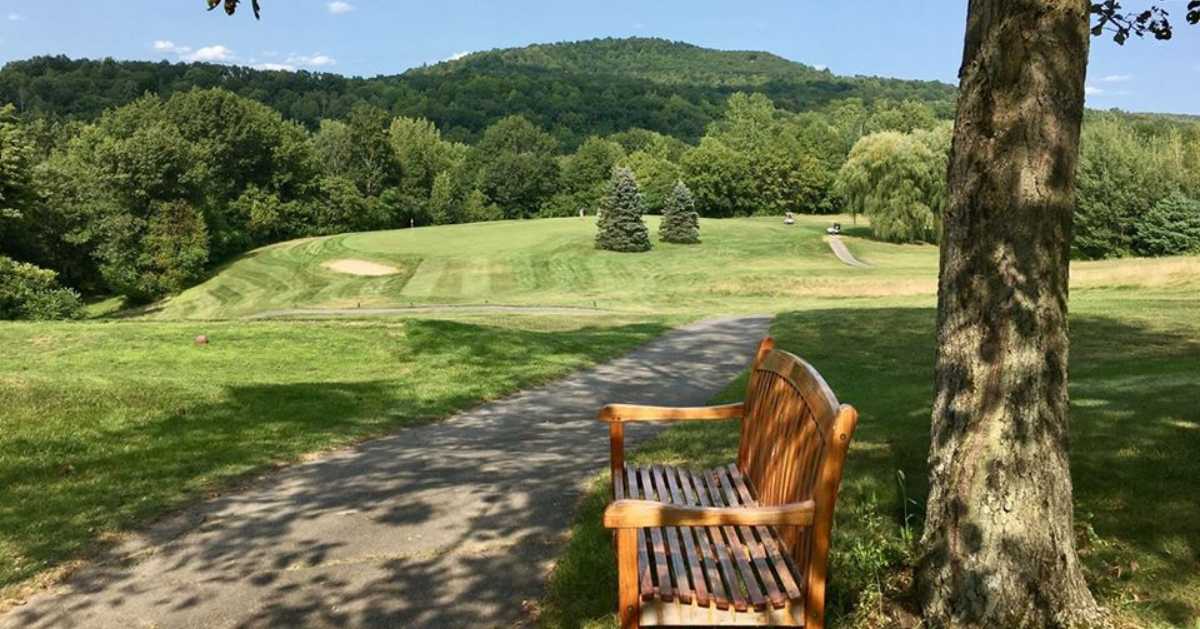 bench near a tree on a golf course