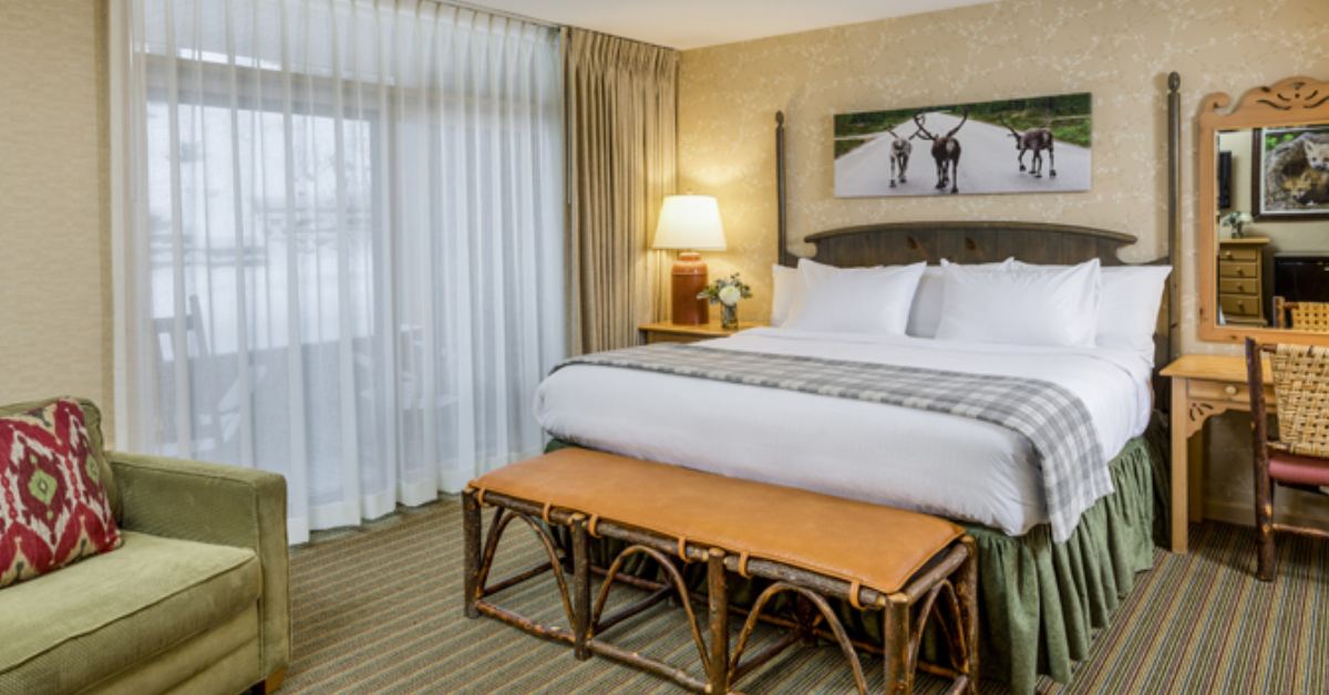 Lake george pet friendly lodging