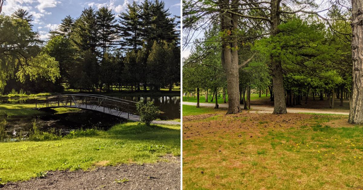 bridge over pond and walking path in crandall park