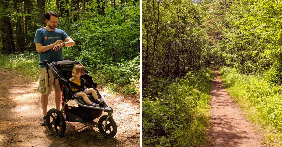 man with girl in stroller on path and another path in cole's woods