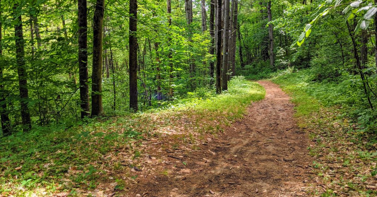 path in cole's woods