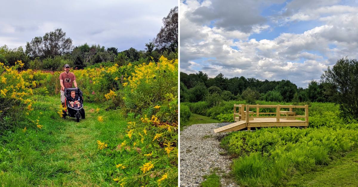 paths and accessible platform in meadowbrook nature preserve