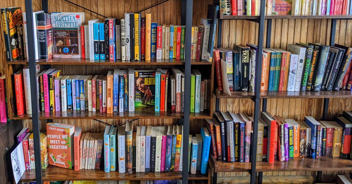 books at beldame books in the shirt factory