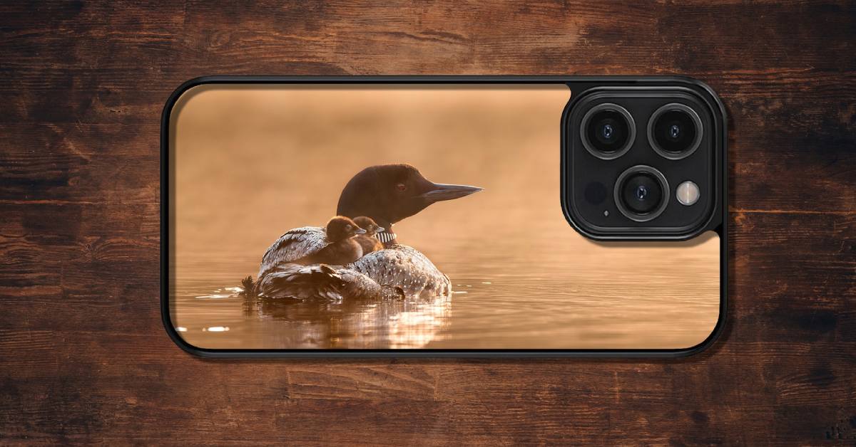 cell phone cover with a loon and babies