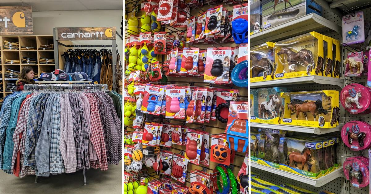 interior of walker's farm store with carhatt clothes, pet items, and breyer horses