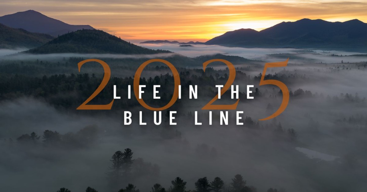 2024 Life in the Blue Line calendar cover