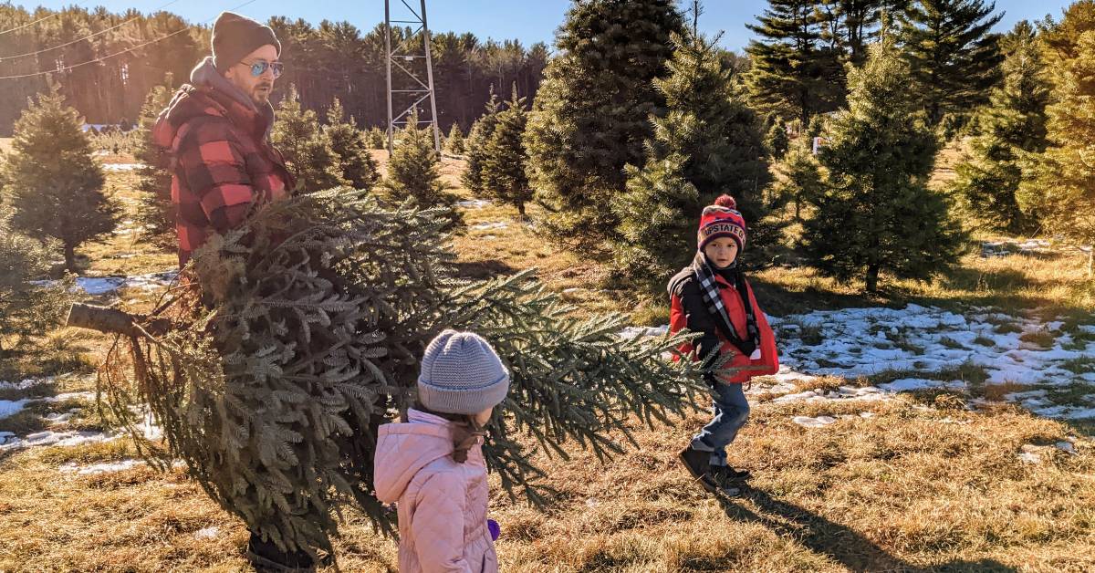 family getting christmas tree