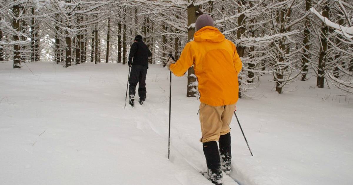 two people cross-country skiing